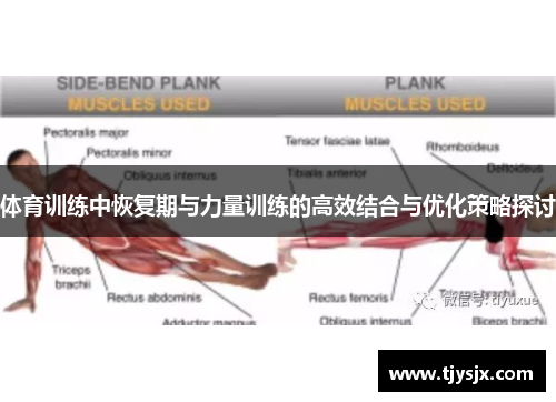 体育训练中恢复期与力量训练的高效结合与优化策略探讨