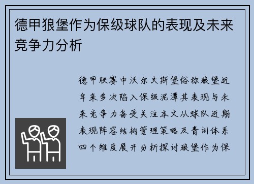 德甲狼堡作为保级球队的表现及未来竞争力分析